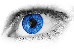 blue-eye-detail-3426x2283_14031